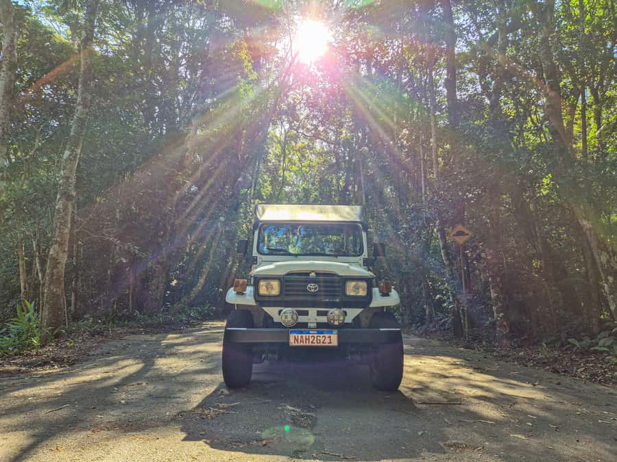 Jeep'n'Green: Rio Botanical Garden & Tijuca Rainforest Tour - Why this Rio nature tour works