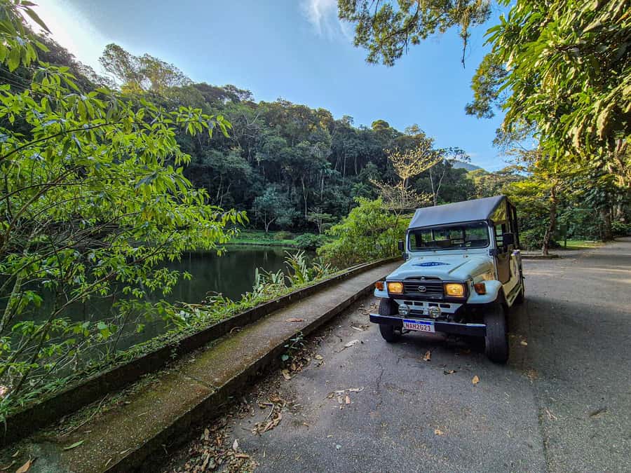 Jeep'n'Green: Rio Botanical Garden & Tijuca Rainforest Tour - Riding into Tijuca’s Atlantic Forest