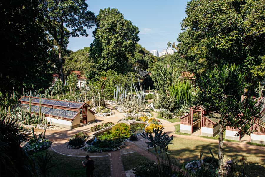 Jeep'n'Green: Rio Botanical Garden & Tijuca Rainforest Tour - Emperor’s Table and the city below