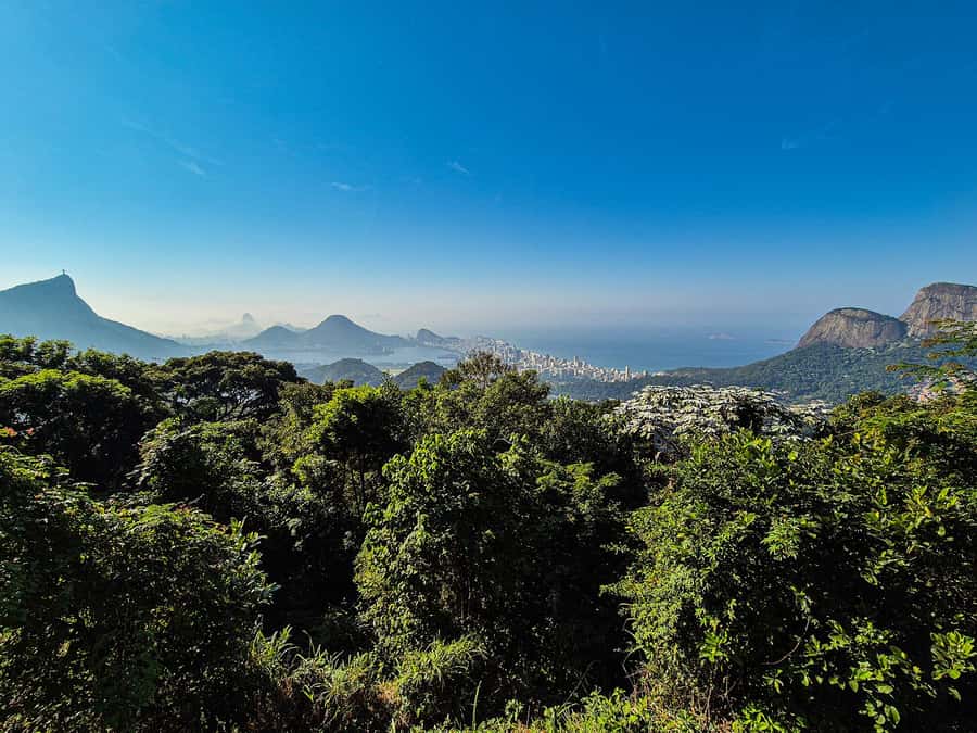 Jeep'n'Green: Rio Botanical Garden & Tijuca Rainforest Tour - Vista Chinesa and the wide Rio panorama