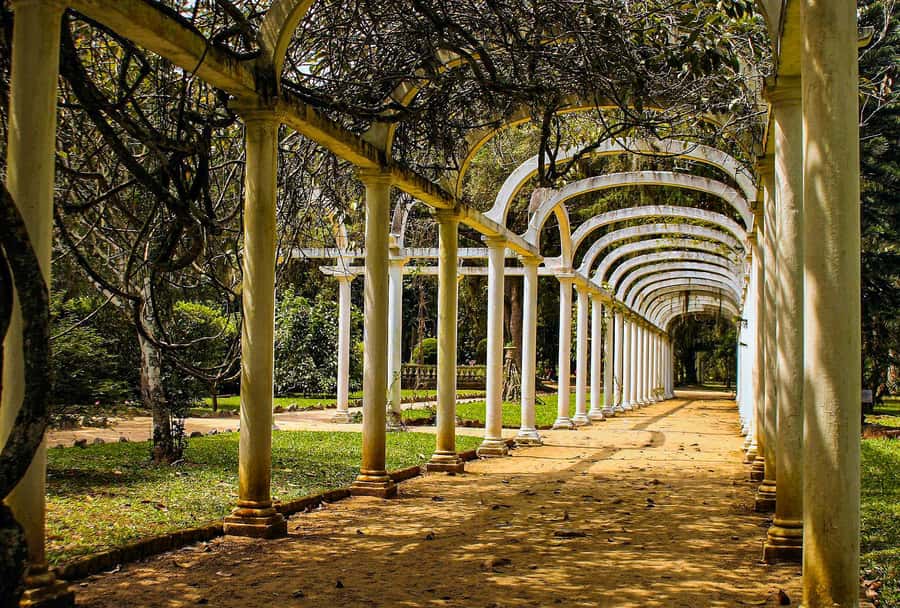 Jeep'n'Green: Rio Botanical Garden & Tijuca Rainforest Tour - The short walk to Cachoeira dos Macacos
