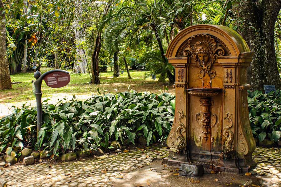 Jeep'n'Green: Rio Botanical Garden & Tijuca Rainforest Tour - Starting among palms at the Botanical Garden