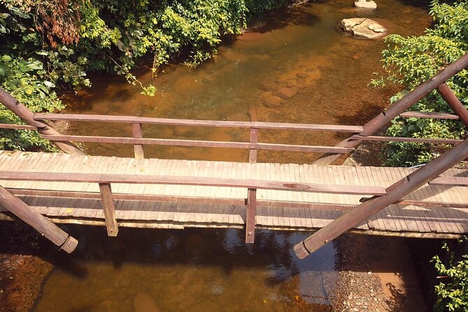 Jeep tour through Ilhabela State Park - Why the road to Castelhanos is the attraction