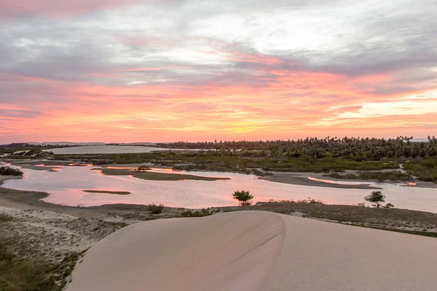Jericoacoara: Tatajuba Beach Tour - The 4x4 ride turns the route into part of the fun