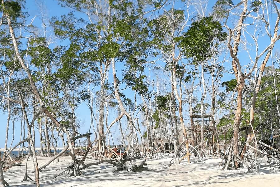 Jericoacoara: Tatajuba Beach Tour - What the $16 price really covers