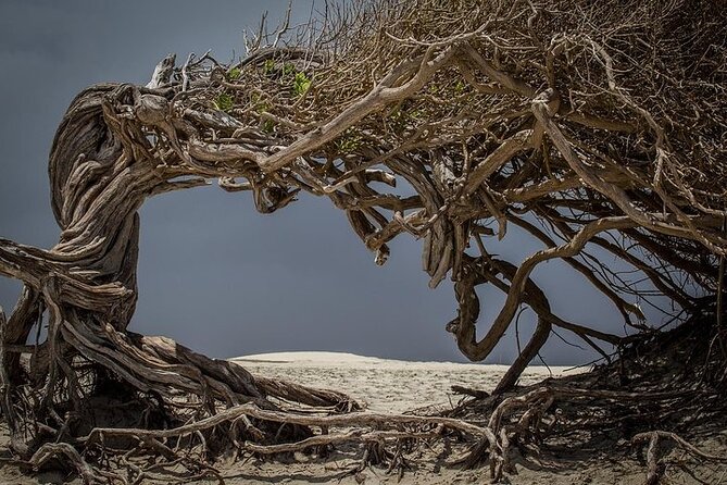 Jericoacoara Tour in 1 Day - The dunes and village fill in the picture