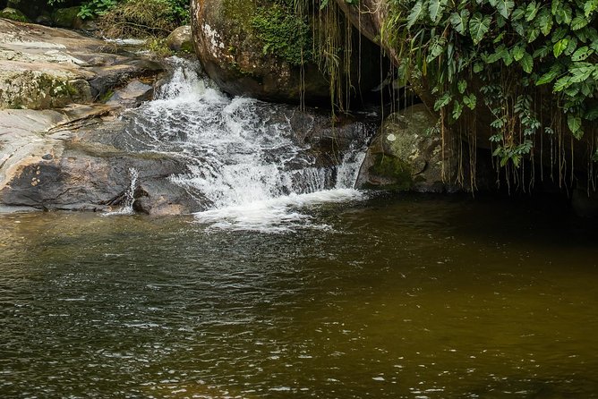 Jipe 4x4 Private 3hr Waterfalls and Waterfall Paraty by Jango Tour - Guide language and the value of local explanation