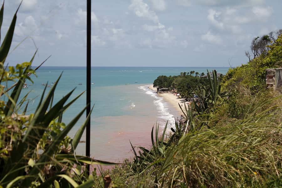 Joao Pessoa City Tour - Cathedral, São Bento, and Nossa Senhora do Carmo