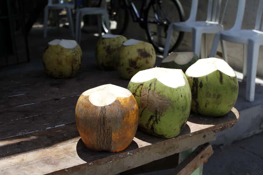 Joao Pessoa City Tour - The Paraíba Craft Market stop