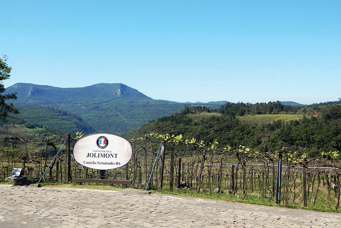 Jolimont Winery Tour - Visitation and Tasting - Canela RS - Does the price offer good value?