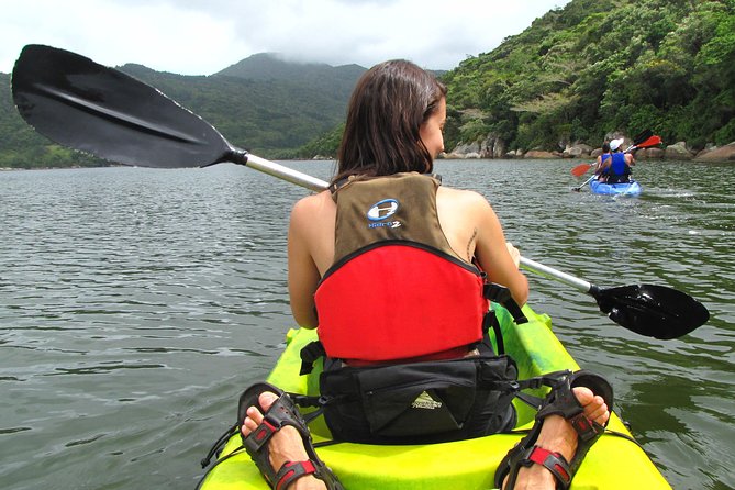Kayak Water Trail in Red River Park by Adrenailha - Key points before you book