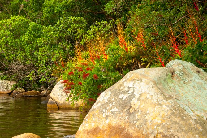 Kayak Water Trail in Red River Park by Adrenailha - Is $68.61 a fair price?