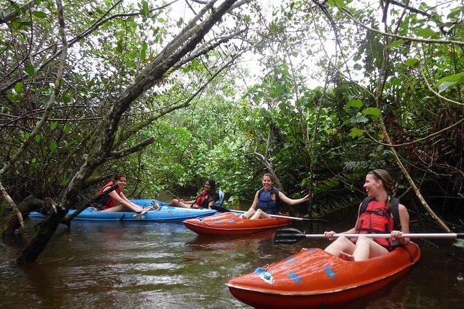 Kayaking Mangroves tour ( Natural Reserve ) - What the guides add to the outing