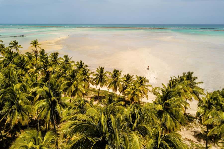 Maceio: Tour to Maragogi Beach - Key points to know before you go