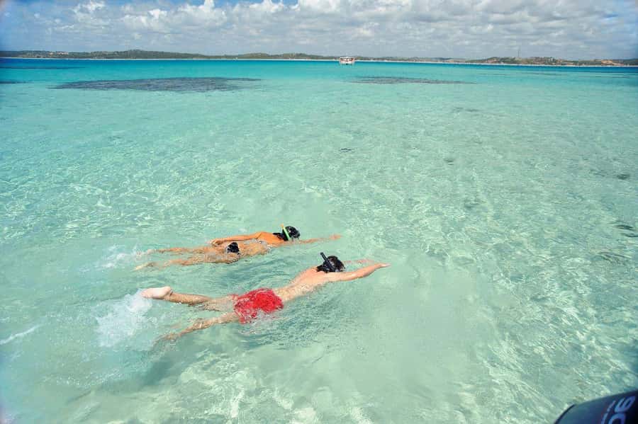 Maceio: Tour to Maragogi Beach - What the guide service is really like