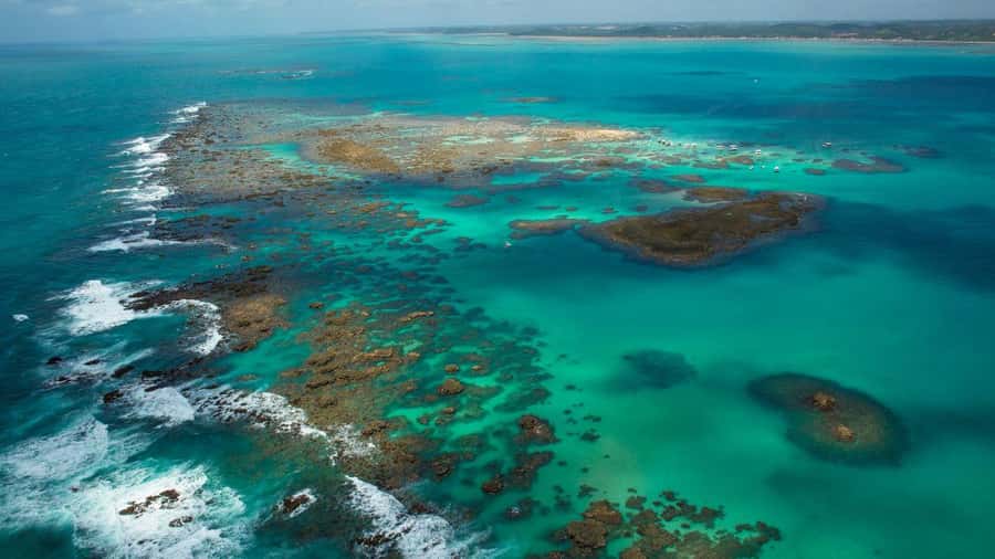 Maceio: Tour to Maragogi Beach - Arriving at Maragogi’s clear, warm water