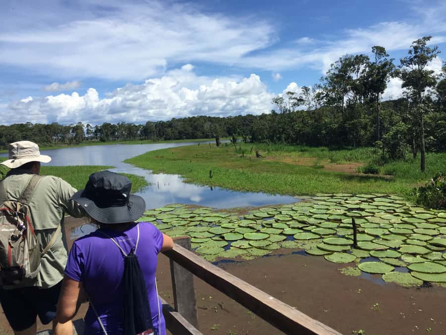 Manaus: 2-Day River Tour With Overnight Stay - Ending at the Rio Negro and Amazon rivers