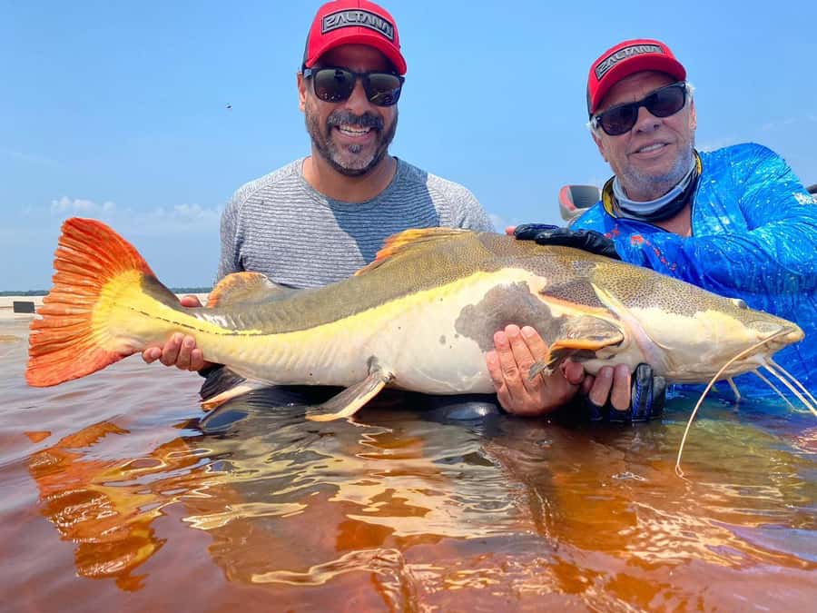Manaus : A day of fishing on the Rio Negro - The floating restaurant lunch around noon