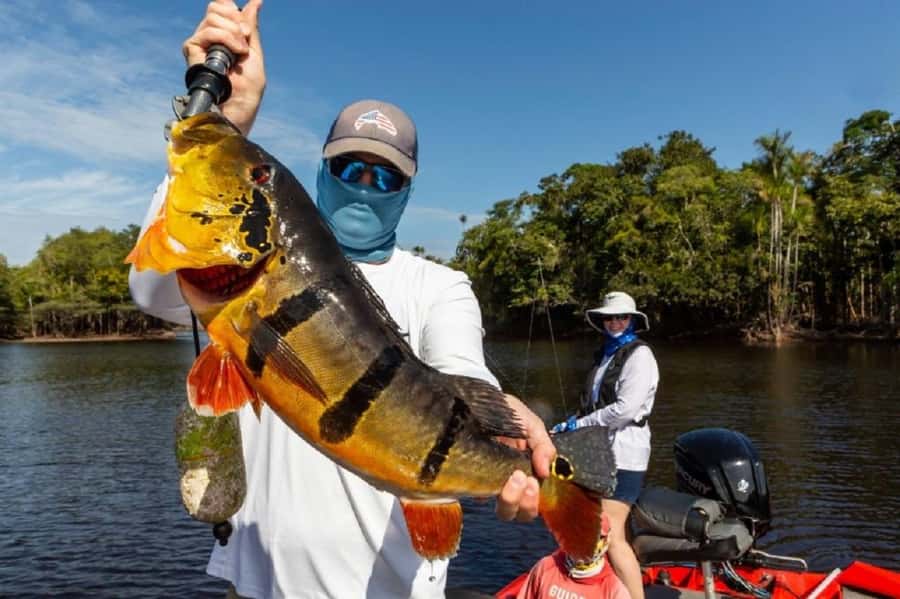 Manaus : A day of fishing on the Rio Negro - The afternoon session is where expectations matter