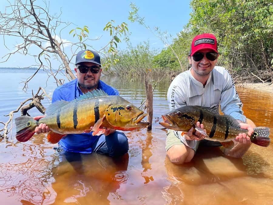 Manaus : A day of fishing on the Rio Negro - FAQ