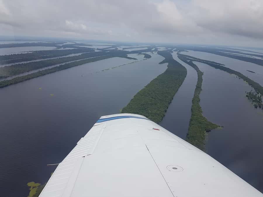 Manaus: Amazon Rainforest Panoramic Airplane Flight - Seeing the Amazon as a green carpet