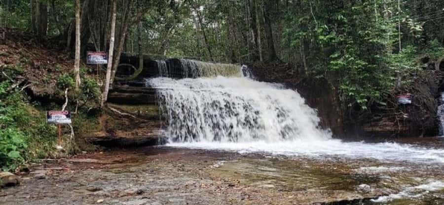 Manaus: Amazon Waterfalls Day Trip with Lunch - Choose between Asframa and Iracema waterfalls
