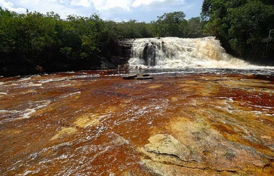 Manaus: Amazon Waterfalls Day Trip with Lunch - Refúgio do Maroaga Cave brings shade and cool water