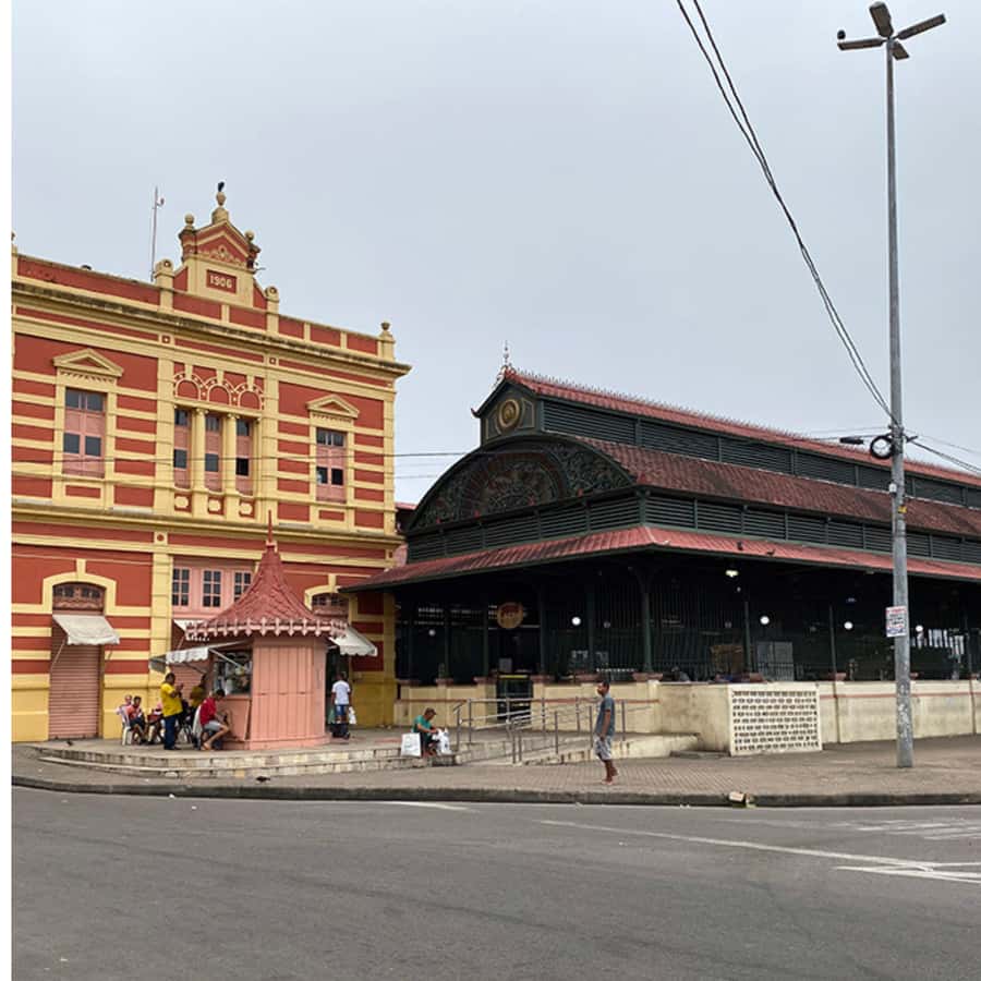 Manaus: City Tour - The rubber boom and a city in the jungle