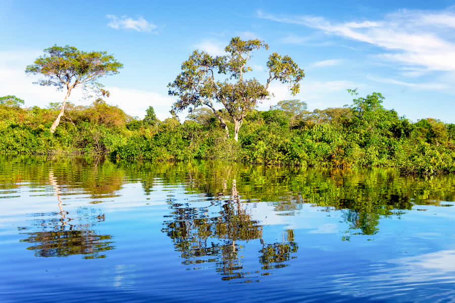 Manaus: Full-Day Tour on the Amazon River - Key points at a glance