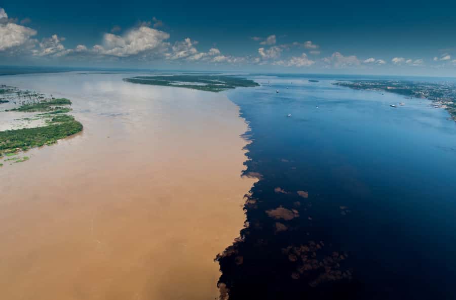 Manaus: Full-Day Tour on the Amazon River - A full Amazon day from Manaus