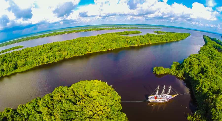 Manaus: Full-Day Tour on the Amazon River - Canoes, pink dolphins, and Victoria Regia