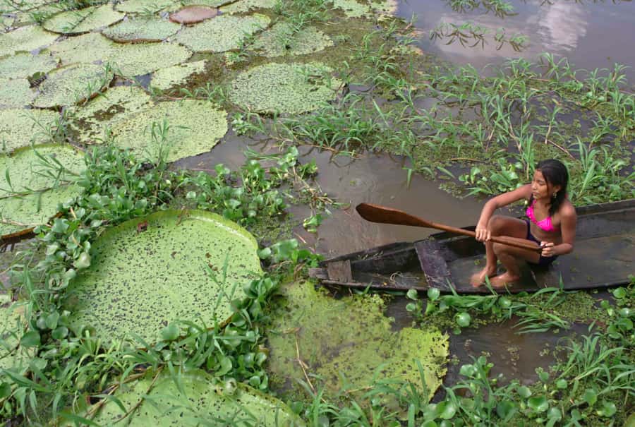 Manaus: Full-Day Tour on the Amazon River - Visiting the Dessanos and Tucanos village