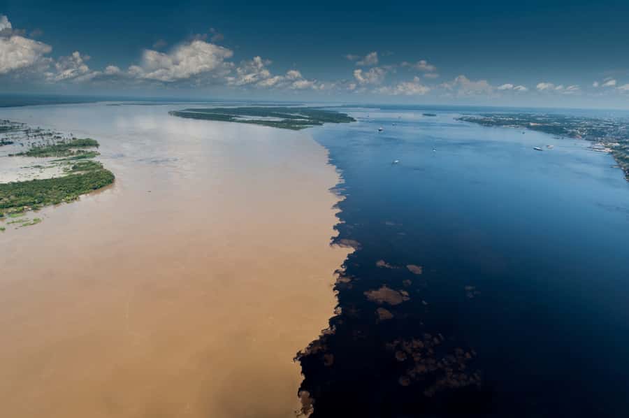Manaus: Meeting of the Waters & Pink Dolphin Tour with Lunch - Swimming with the Amazon’s pink dolphins