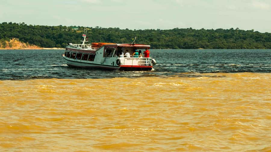 Manaus: Meeting of the Waters & Pink Dolphin Tour with Lunch - Meeting the Dessana and Tucano communities