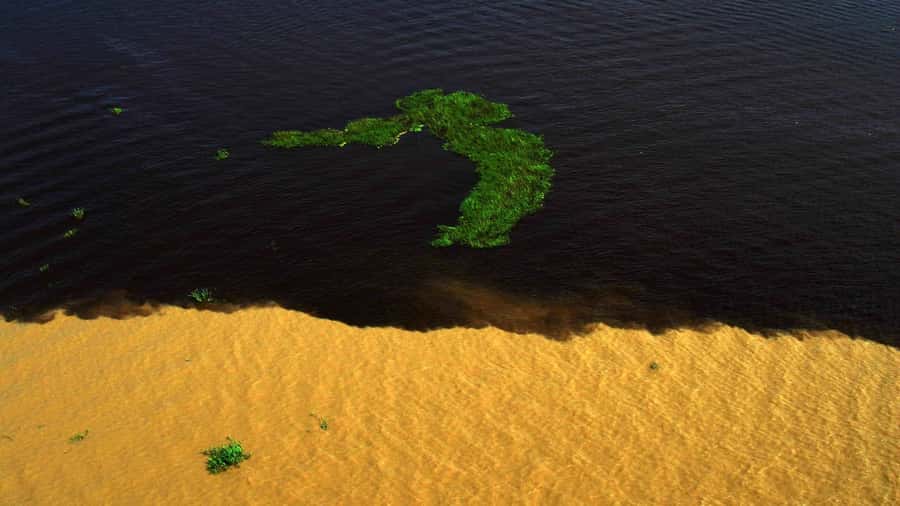 Manaus: Meeting of the Waters & Pink Dolphin Tour with Lunch - Is $75 a fair price?
