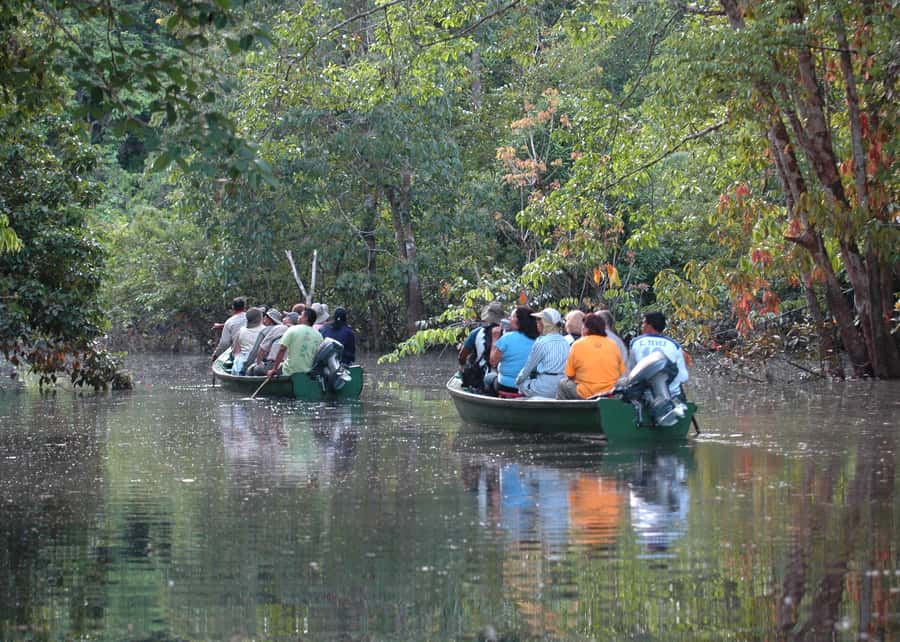 Manaus: Meeting of the Waters & Pink Dolphin Tour with Lunch - Who should book this Manaus tour?