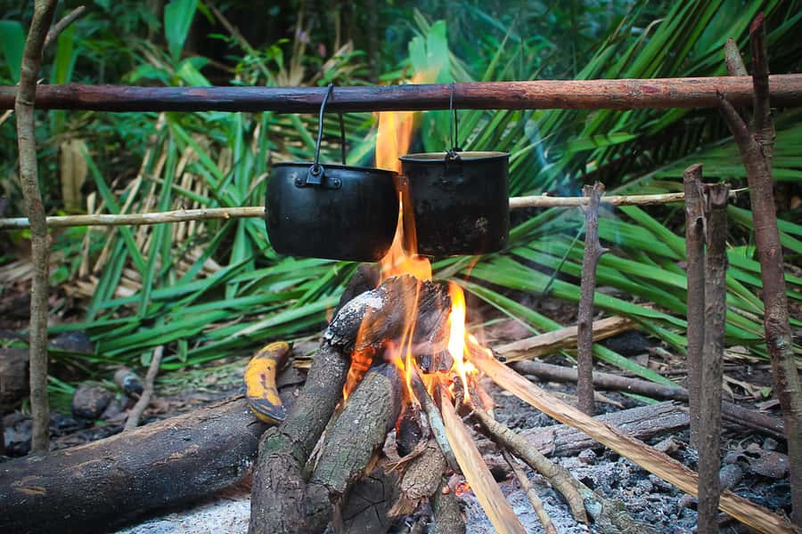 Manaus: Multi-Day Amazon Survival Trip with Camping - How the guide and group size shape the experience