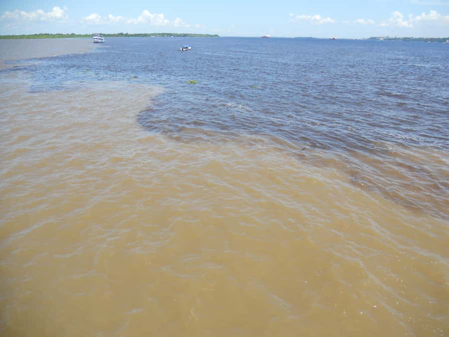 Manaus: Multi-Day Amazon Trip at Tapiri Floating Lodge - Leaving Manaus for the Meeting of the Waters