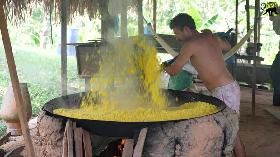 Manaus: Multi-Day Amazon Trip at Tapiri Floating Lodge - The Longer Programs Add Real Forest Nights