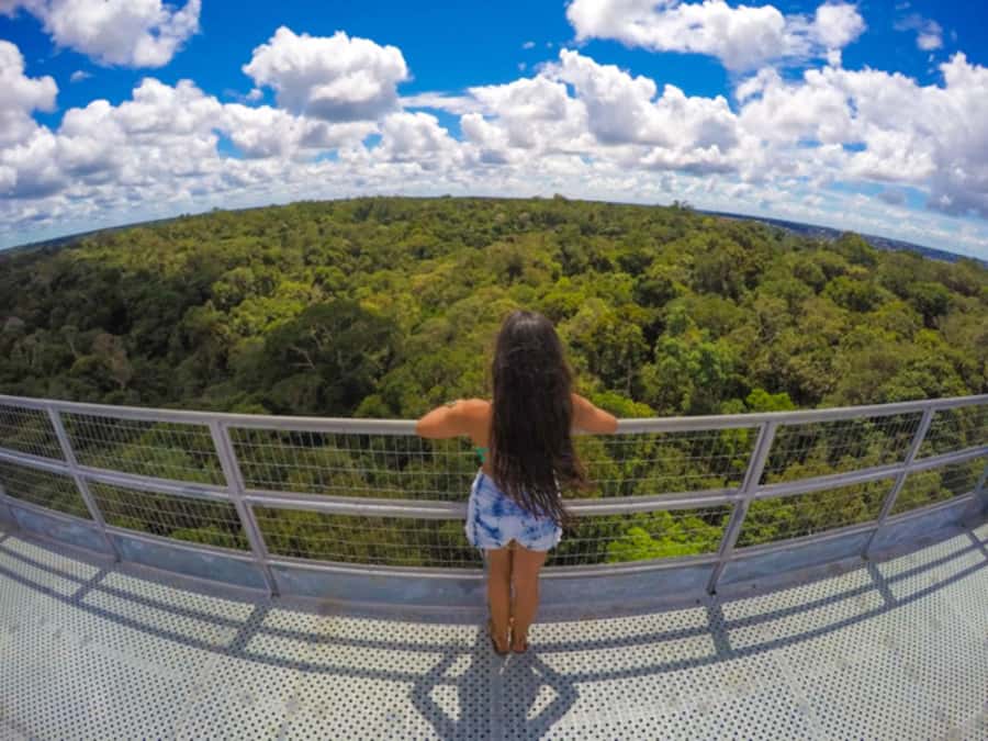 Manaus: MUSA and INPA Museums with Observation Tower Tour - Key points to know before booking