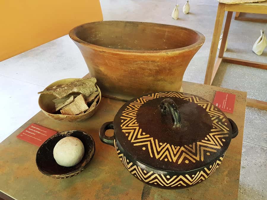 Manaus: MUSA and INPA Museums with Observation Tower Tour - Guided timing at MUSA needs special attention