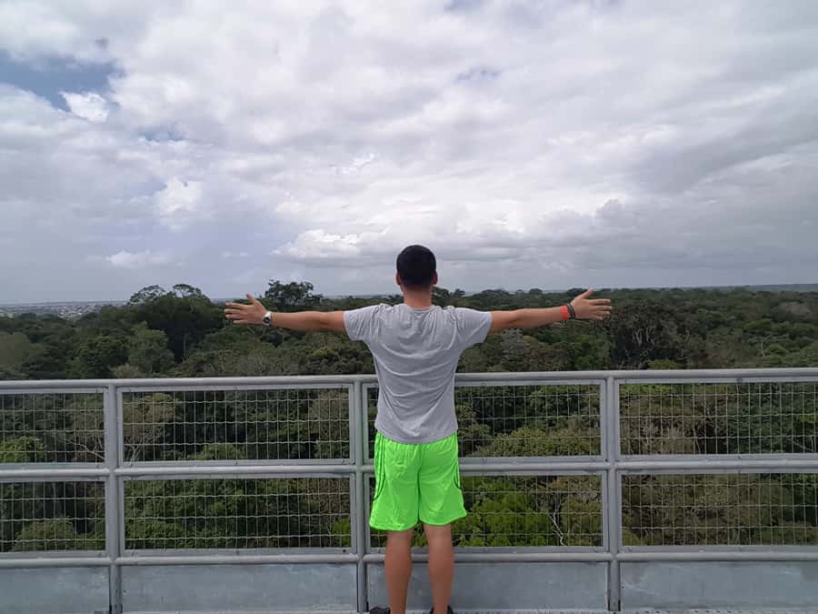 Manaus: MUSA and INPA Museums with Observation Tower Tour - Is $50 a fair price for this day?