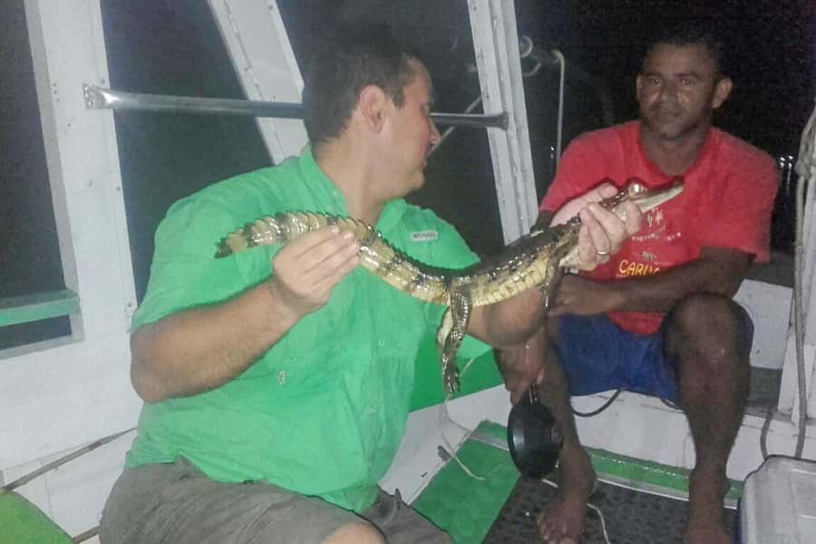 Manaus: Piranha Fishing and Alligator Watch Evening Tour - What $90 buys you