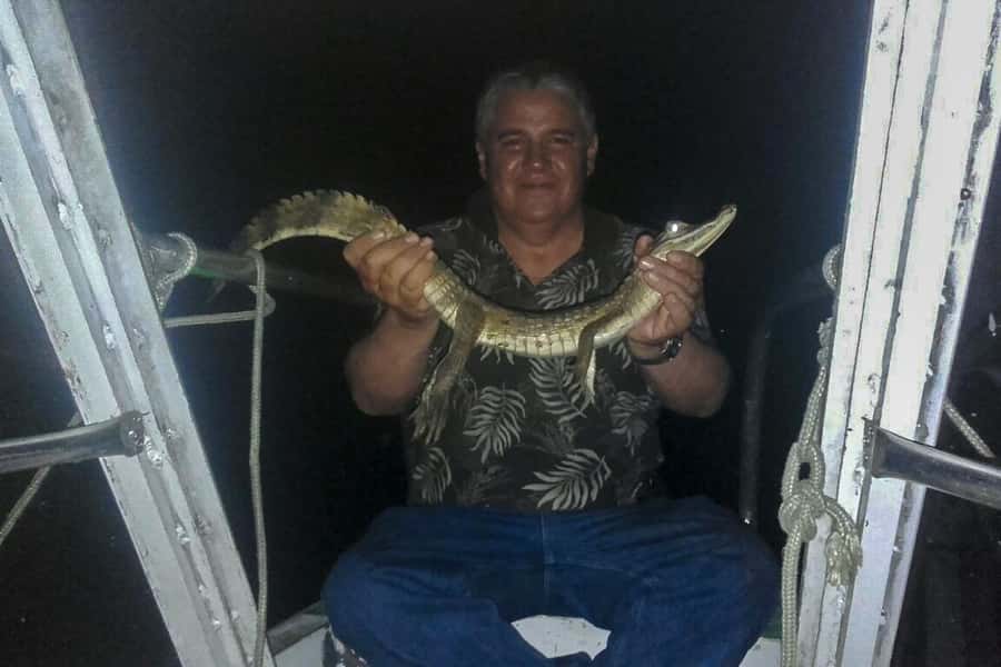 Manaus: Piranha Fishing and Alligator Watch Evening Tour - Should you book the piranha and alligator tour?