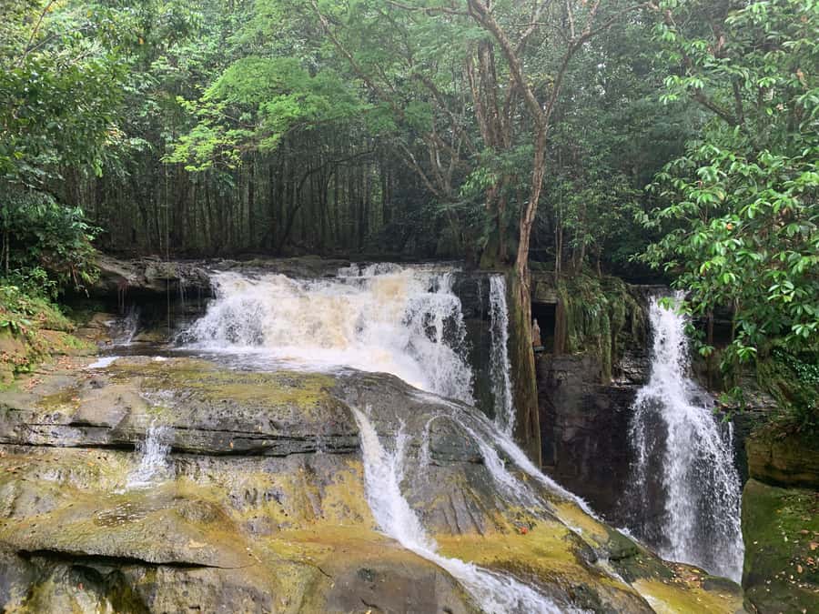 Manaus: Presidente Figueiredo Caves and Waterfalls Tour - Key Points Before You Book