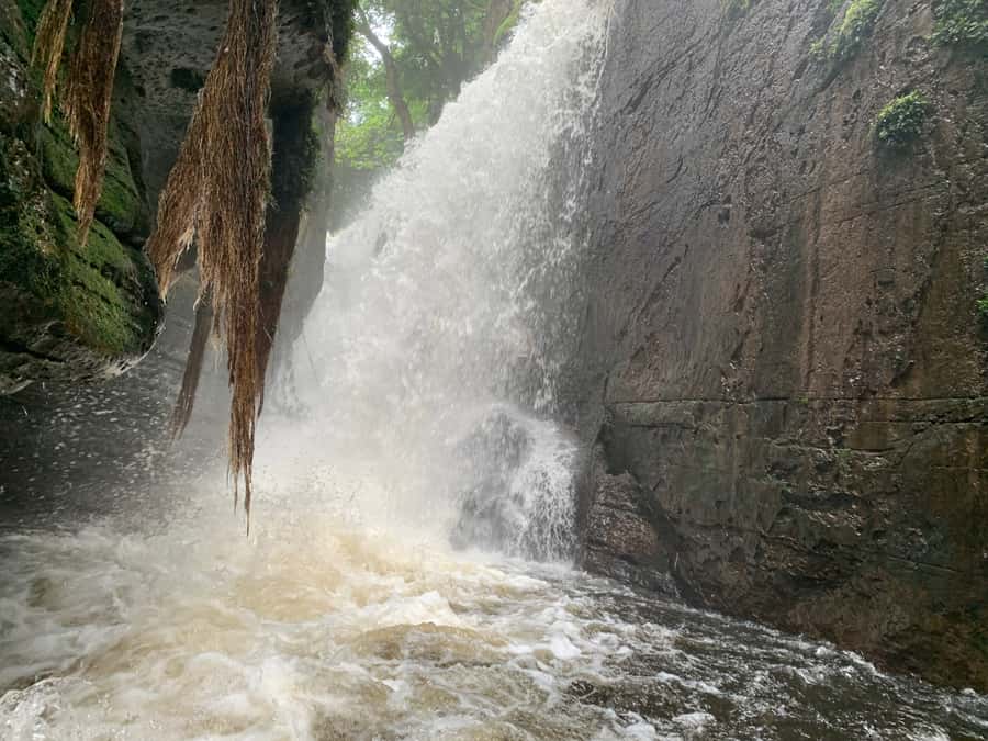 Manaus: Presidente Figueiredo Caves and Waterfalls Tour - Who Should Book This Outing