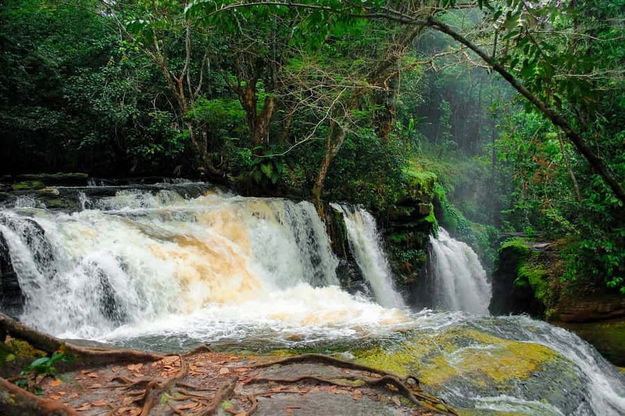 Manaus: Presidente Figueiredo Caves and Waterfalls Tour - Walking Into Iracema Park