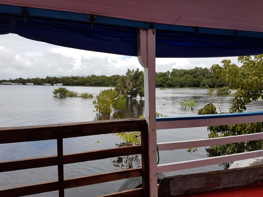 Manaus to Santarém: 36-Hour Ferry on the Amazon - Key points to know before booking