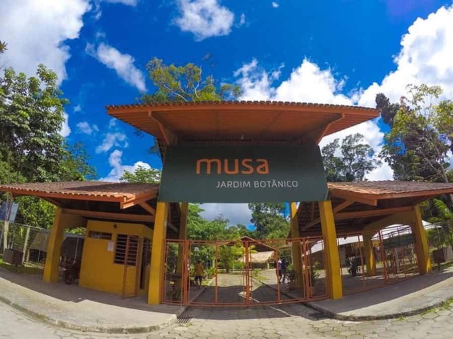 Manaus : Visit to MUSA (Amazon Museum) - MUSA offers real forest, not just museum displays