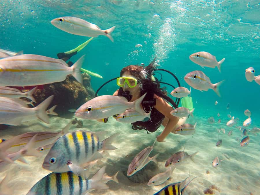 Maracajau Parrachos Reef: Mask and Snorkel swim adventure - Why Maracajau feels different from a normal beach day